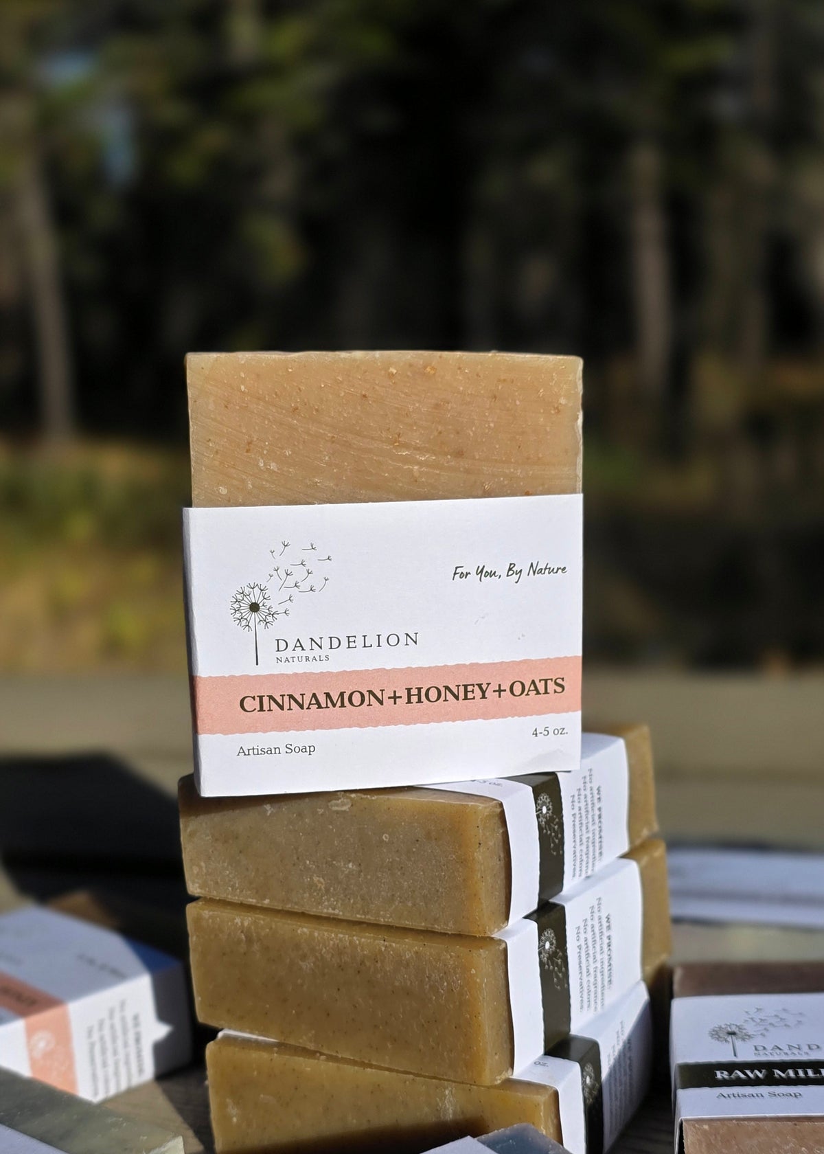 Cinnamon Honey Oats Bar Soap | All Natural Artisan Soap Bar