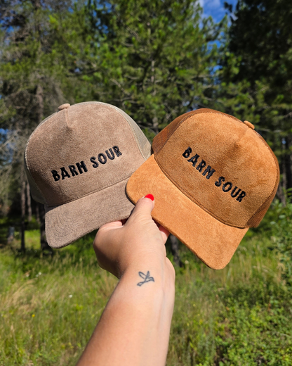 Barn Sour  Hat
