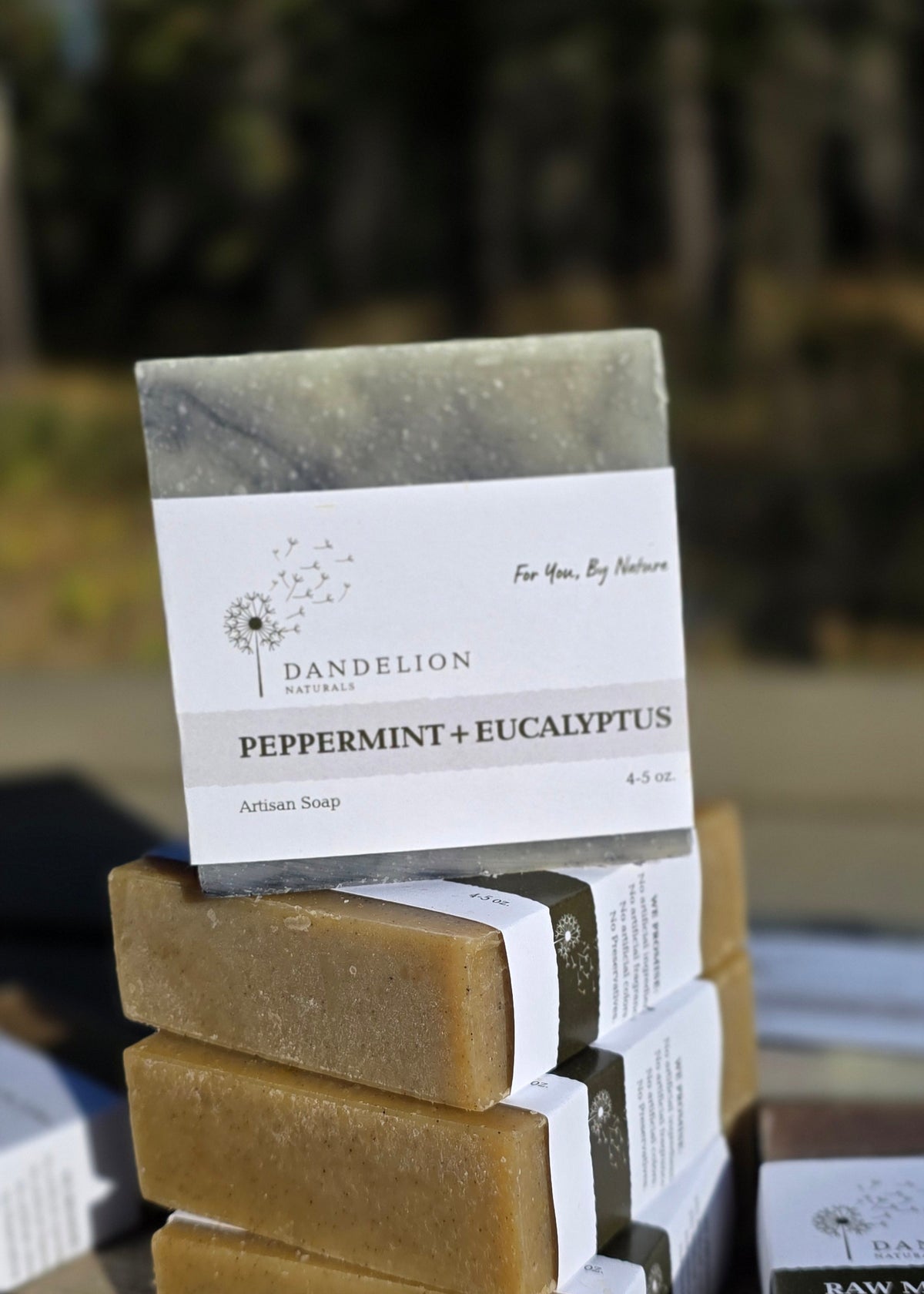 Peppermint & Eucalyptus Bar Soap | Essential Oil Soap Bar